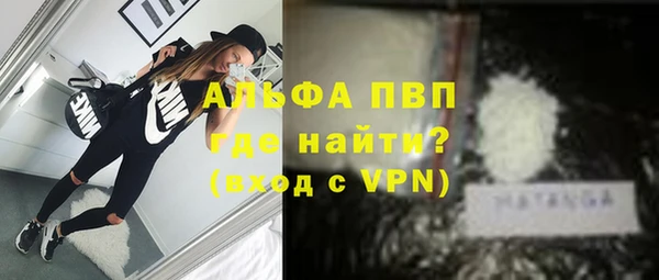 молекула духа Арсеньев