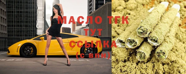 молекула духа Арсеньев