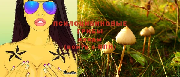 молекула духа Арсеньев