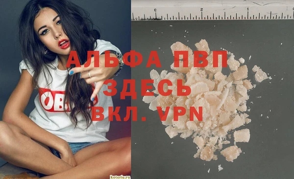 молекула духа Арсеньев