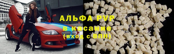 молекула духа Арсеньев