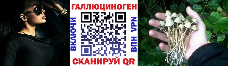 Псилоцибиновые грибы мицелий  купить   Октябрьск 